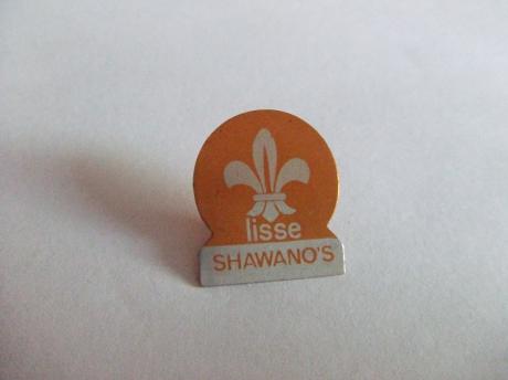 Scouting Shawano's Lisse oranje